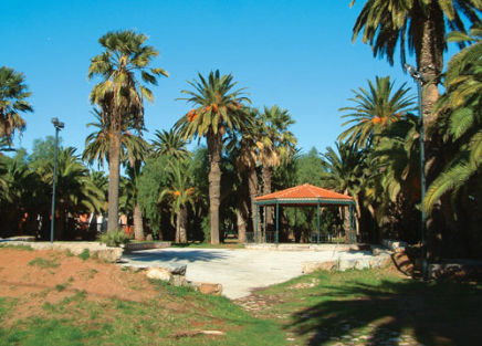 finikodasos